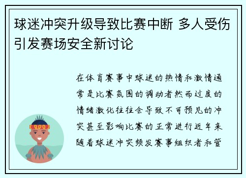 球迷冲突升级导致比赛中断 多人受伤引发赛场安全新讨论